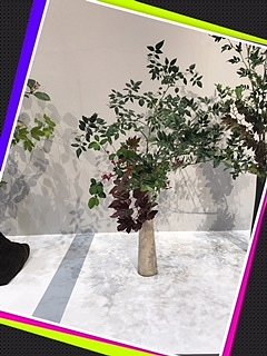 拡大表示