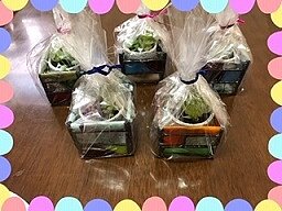 拡大表示