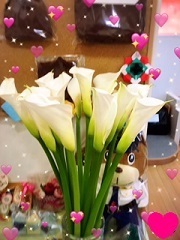 拡大表示